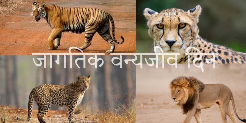 चित्ता लवकरच सत्यात उतरेल- प्रकाश जावडेकर