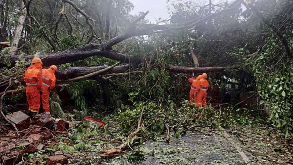 चक्रीवादळाने रत्नागिरीत मोठे नुकसान