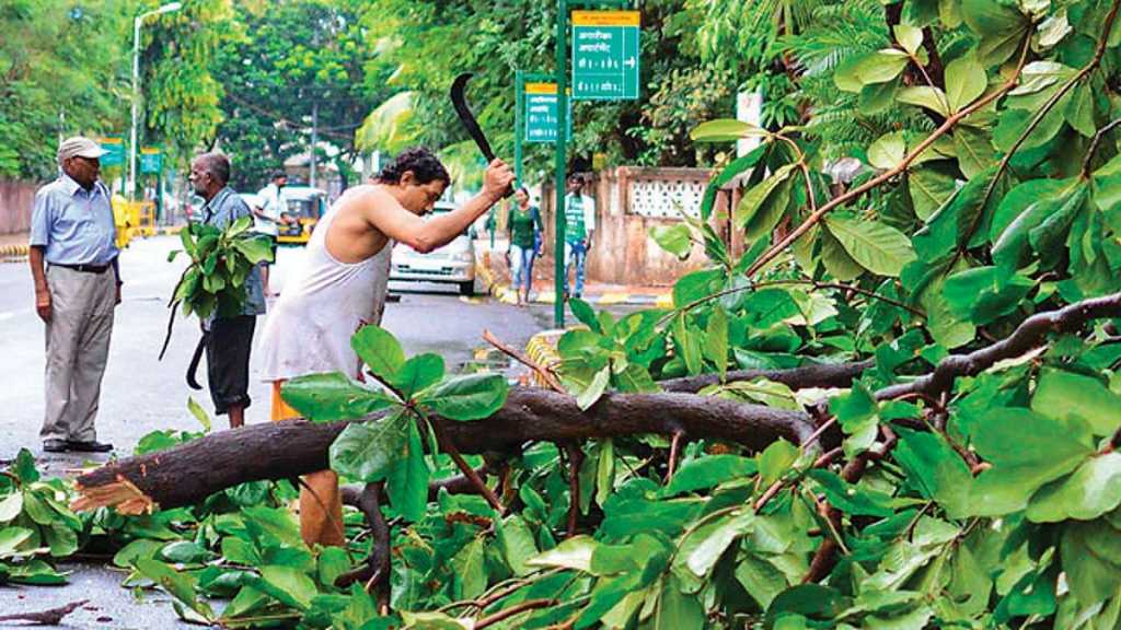 ही बेसुमार वृक्षतोडणी कशासाठी?