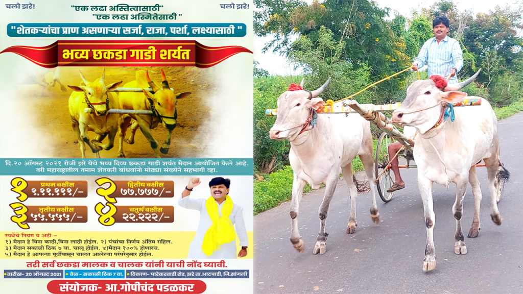 गोवंश टिकवा, संस्कृती टिकवा!