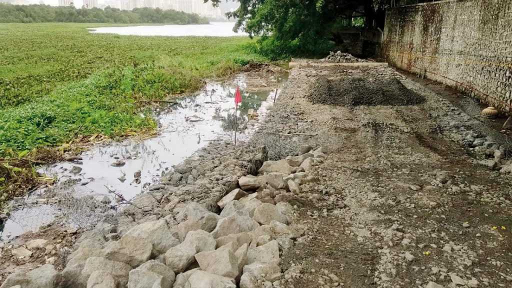 पर्यावरणाबद्दल चिंता व्यक्त करणाऱ्यांना सायकल ट्रॅक मात्र हवा