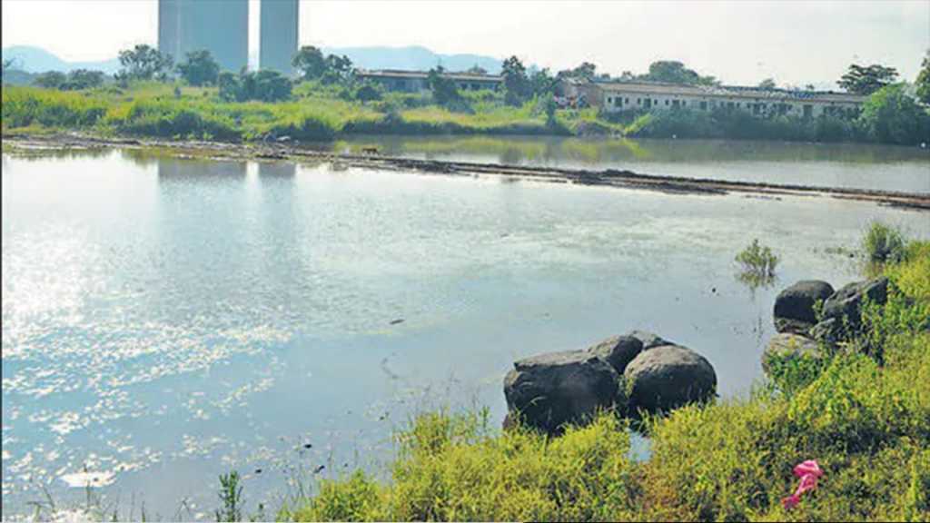 डोंबिवलीत खाणकामाच्या जागी पाण्यात पडून २ बालके दगावली