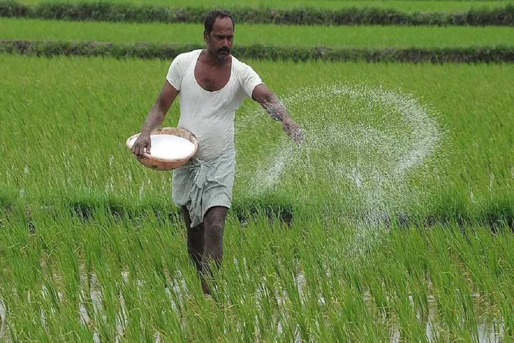 घटलेल्या खत आयातीचा अनुदान कपातीला होणार फायदा