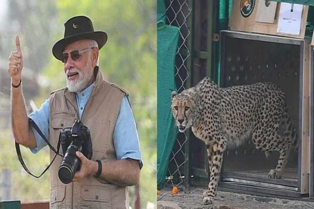 चित्ता’कर्षक नावे; एल्टन झाला गौरव तर ओबानला नाव मिळाले पवन !