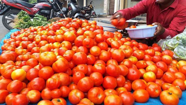 टोमॅटोचे दर घसरले; मुंबईत ६० ते ८० रुपये किलो