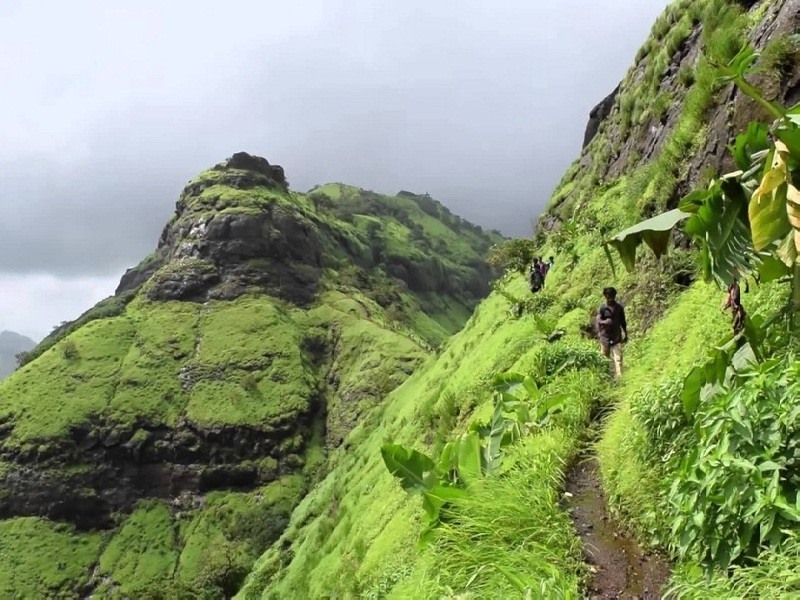 डोंगरावरून ४०० फूट खाली कोसळलेल्या तरुणीची सुटका