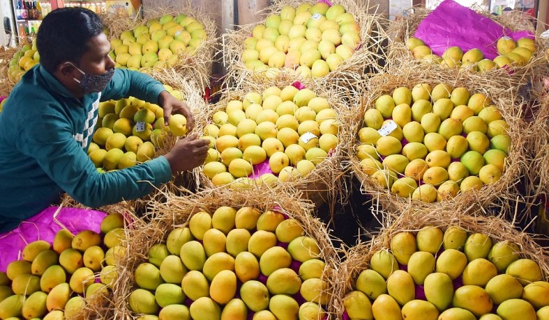 इस्रायल-पॅलेस्टाईन युद्धाचा आंबा निर्यातीला फटका