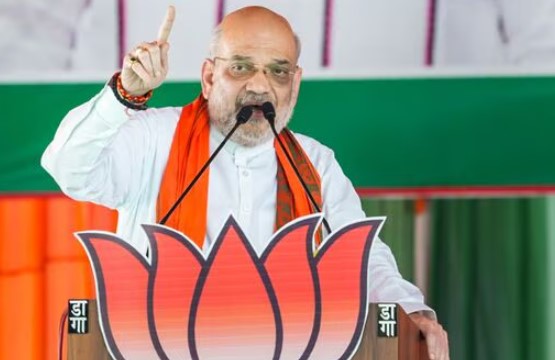 “नरेंद्र मोदींना पुन्हा पंतप्रधान बनवा; गोहत्या करणाऱ्यांना उलटे लटकवू”