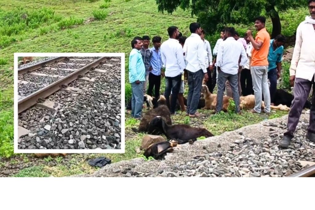 बीडमध्ये भीषण रेल्वे अपघात; मेंढपाळासह २२ मेंढ्या, २ जनावरांचा जागीच मृत्यू !